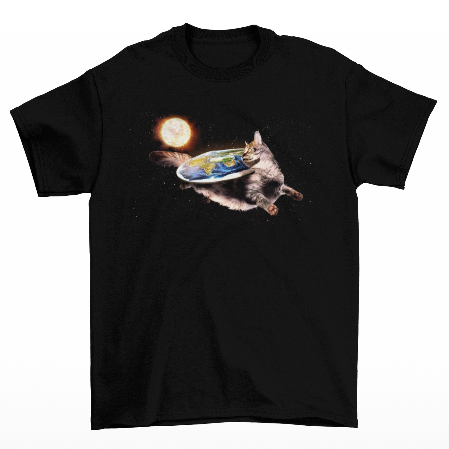 Cat in Space Flat Earth