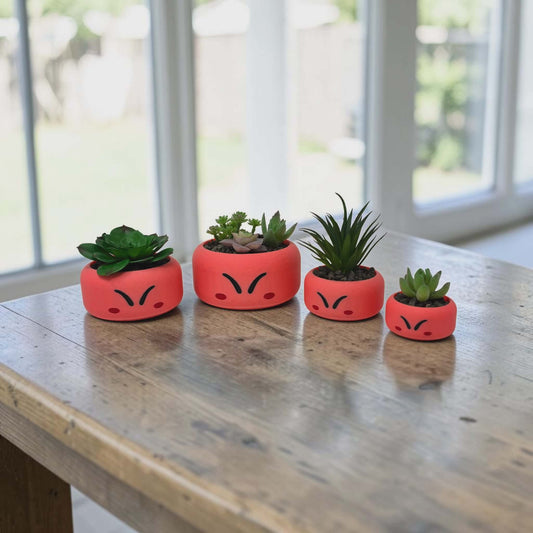 Kirby Planter Pots