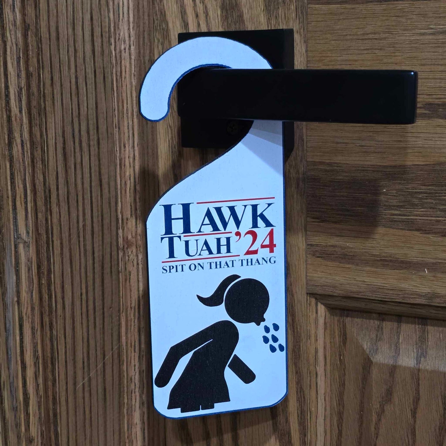 Hawk Tuah For President Door Hanger