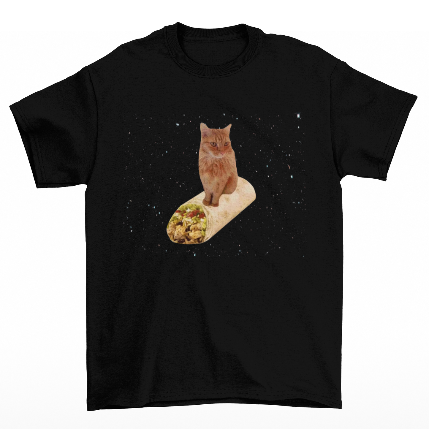 Cat Burrito In Space